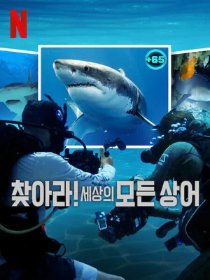 찾아라! 세상의 모든 상어